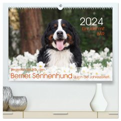 Ein Jahr mit BÄR. Begleiten Sie Bär, den Berner Sennenhund, durch die Jahreszeiten. (hochwertiger Premium Wandkalender 2024 DIN A2 quer), Kunstdruck in Hochglanz
