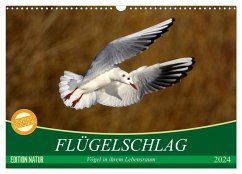 Flügelschlag - Vögel in ihrem natürlichen Lebensraum (Wandkalender 2024 DIN A3 quer), CALVENDO Monatskalender