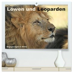 Löwen und Leoparden - Begegnungen in Afrika (hochwertiger Premium Wandkalender 2024 DIN A2 quer), Kunstdruck in Hochglanz