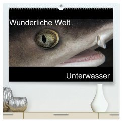 Wunderliche Welt Unterwasser (hochwertiger Premium Wandkalender 2024 DIN A2 quer), Kunstdruck in Hochglanz