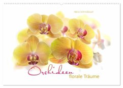 Orchideen florale Träume (Wandkalender 2024 DIN A2 quer), CALVENDO Monatskalender - Schmidbauer, Heinz