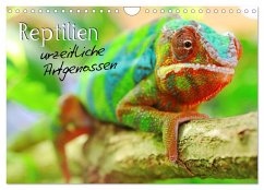 Reptilien urzeitliche Artgenossen (Wandkalender 2024 DIN A4 quer), CALVENDO Monatskalender