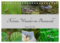 Kleine Wunder im Bienwald (Tischkalender 2024 DIN A5 quer), CALVENDO Monatskalender