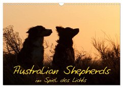 Australian Shepherds im Spiel des Lichts (Wandkalender 2024 DIN A3 quer), CALVENDO Monatskalender