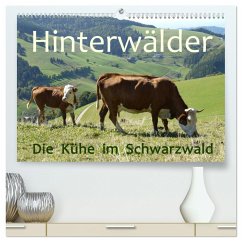 Hinterwälder - Die Kühe aus dem Schwarzwald (hochwertiger Premium Wandkalender 2024 DIN A2 quer), Kunstdruck in Hochglanz