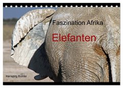 Faszination Afrika - Elefanten (Tischkalender 2024 DIN A5 quer), CALVENDO Monatskalender