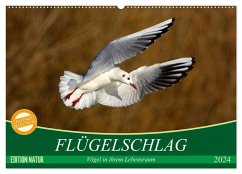 Flügelschlag - Vögel in ihrem natürlichen Lebensraum (Wandkalender 2024 DIN A2 quer), CALVENDO Monatskalender