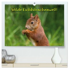Wilde Eichhörnchenwelt! (hochwertiger Premium Wandkalender 2024 DIN A2 quer), Kunstdruck in Hochglanz