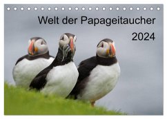 Welt der Papageitaucher (Tischkalender 2024 DIN A5 quer), CALVENDO Monatskalender