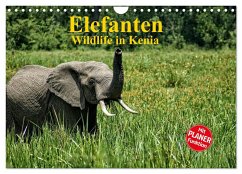 Elefanten . Wildlife in Kenia (Wandkalender 2024 DIN A4 quer), CALVENDO Monatskalender