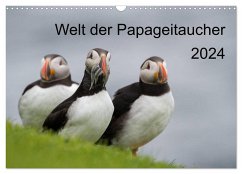 Welt der Papageitaucher (Wandkalender 2024 DIN A3 quer), CALVENDO Monatskalender