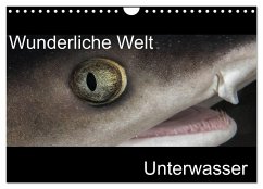 Wunderliche Welt Unterwasser (Wandkalender 2024 DIN A4 quer), CALVENDO Monatskalender