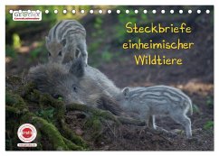 GEOclick Lernkalender: Steckbriefe einheimischer Wildtiere (Tischkalender 2024 DIN A5 quer), CALVENDO Monatskalender