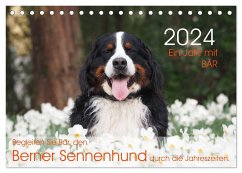 Ein Jahr mit BÄR. Begleiten Sie Bär, den Berner Sennenhund, durch die Jahreszeiten. (Tischkalender 2024 DIN A5 quer), CALVENDO Monatskalender