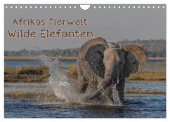 Afrikas Tierwelt - Wilde Elefanten (Wandkalender 2024 DIN A4 quer), CALVENDO Monatskalender - Voß, Michael