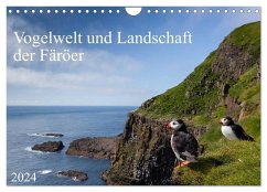 Vogelwelt und Landschaft der Färöer (Wandkalender 2024 DIN A4 quer), CALVENDO Monatskalender