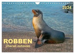 Robben - überall zuhause (Wandkalender 2024 DIN A4 quer), CALVENDO Monatskalender