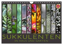 Sukkulenten in Haus und Garten (Wandkalender 2024 DIN A4 quer), CALVENDO Monatskalender