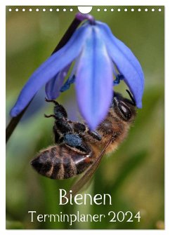 Bienen-Terminplaner 2024 (Wandkalender 2024 DIN A4 hoch), CALVENDO Monatskalender - Hahnefeld, Silvia