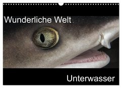 Wunderliche Welt Unterwasser (Wandkalender 2024 DIN A3 quer), CALVENDO Monatskalender