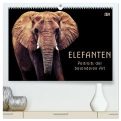 Elefanten - Portraits der besonderen Art (hochwertiger Premium Wandkalender 2024 DIN A2 quer), Kunstdruck in Hochglanz