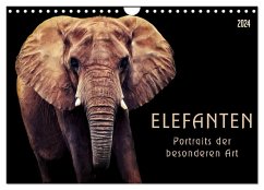 Elefanten - Portraits der besonderen Art (Wandkalender 2024 DIN A4 quer), CALVENDO Monatskalender