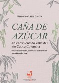 Caña de azúcar en el espléndido valle del río Cauca, (eBook, ePUB)