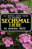 Sechsmal Liebe im Sommer 2023 (eBook, ePUB)