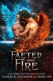 Faeted Under Fire (eBook, ePUB)