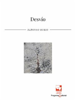 Desvío (eBook, ePUB) - Rubio, Alfonso