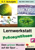 Lernwerkstatt Fotosynthese (eBook, PDF)