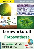 Lernwerkstatt Fotosynthese (eBook, PDF)