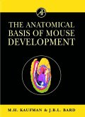 The Anatomical Basis of Mouse Development (eBook, ePUB)