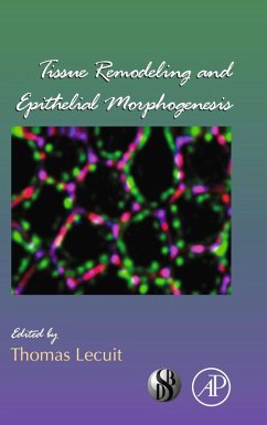 Cover Tissue Remodeling and Epithelial Morphogenesis (eBook, PDF)