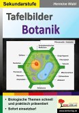 Tafelbilder Botanik (eBook, PDF)