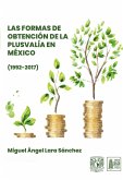 Las formas de obtención de la plusvalía en México (1992-2017) (eBook, ePUB)
