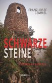 Schwarze Steine: Kriminalroman (eBook, ePUB)
