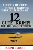 12 Gute Krimis für die Sommerferien 2023 (eBook, ePUB)
