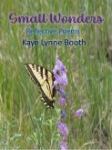 Small Wonders (eBook, ePUB) Small Wonders (eBook, ePUB)