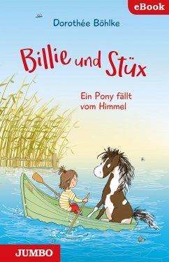 Billie und Stüx. Ein Pony fällt vom Himmel (eBook, ePUB) - Böhlke, Dorothée