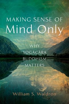 Making Sense of Mind Only (eBook, ePUB) - Waldron, William S.