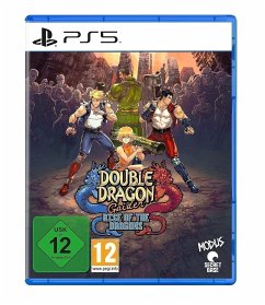 Double Dragon Gaiden: Rise of the Dragons (PlayStation 5)