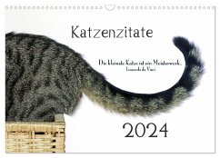 Katzenzitate 2024 (Wandkalender 2024 DIN A3 quer), CALVENDO Monatskalender