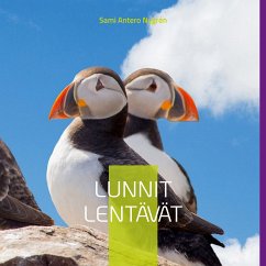 Lunnit Lentävät (eBook, ePUB) - Nygrén, Sami Antero