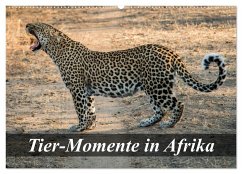 Tier-Momente in Afrika (Wandkalender 2024 DIN A2 quer), CALVENDO Monatskalender