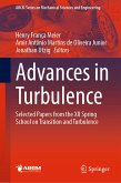 Advances in Turbulence (eBook, PDF)