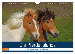 Die Pferde Islands - Ein Streifzug durch Island (Wandkalender 2024 DIN A4 quer), CALVENDO Monatskalender - Pantke, Reinhard