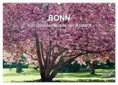 Bonn - Kirschblütenfest in der Altstadt (Wandkalender 2024 DIN A2 quer), CALVENDO Monatskalender - Reif, Wolfgang