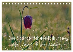 Die Schachbrettblume (Tischkalender 2024 DIN A5 quer), CALVENDO Monatskalender
