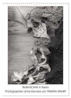 BlütenScans in Sepia, Photographien ohne Kamera von Tamara Wahby (Wandkalender 2024 DIN A3 hoch), CALVENDO Monatskalender
